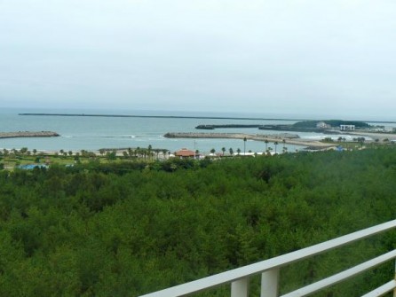 Miyazaki: 
The view from the balcony. 
バルコニーからの眺め