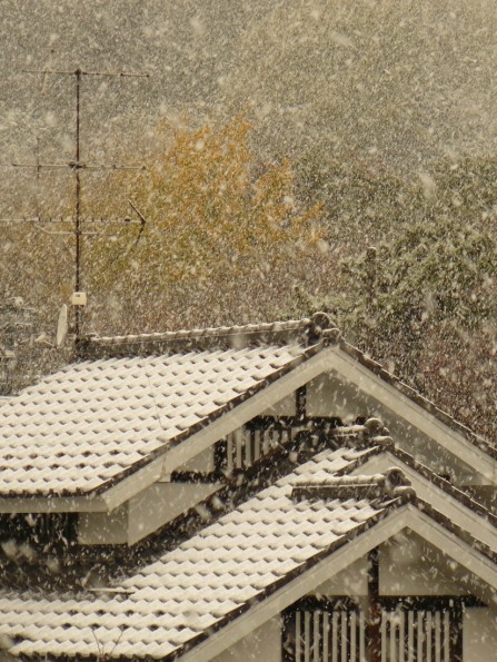 出発の朝の鎌倉は雪
Snow in Kamakura on our departure day...